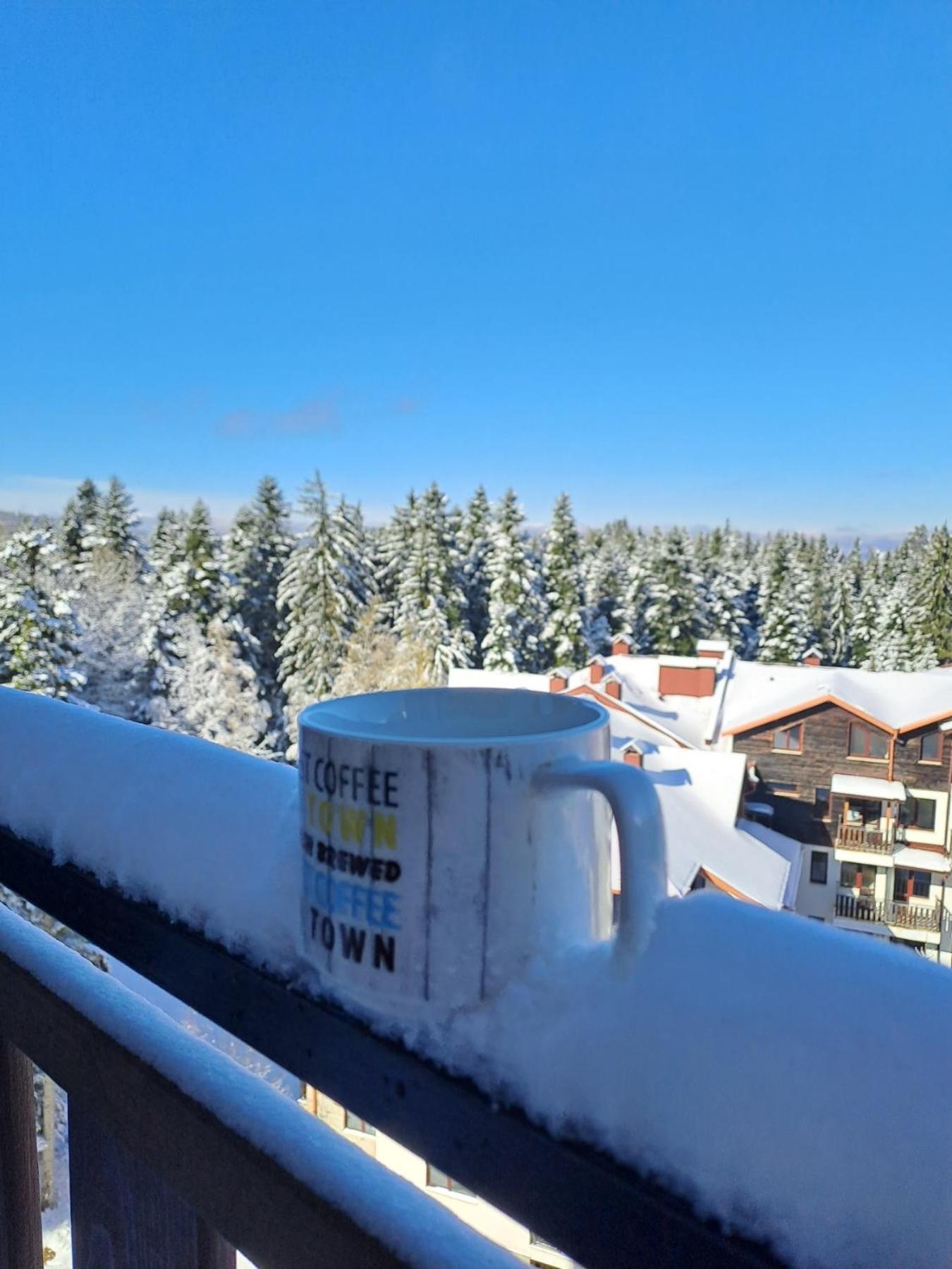 Premium Apartment In Borovets Gardens Complex Luaran gambar
